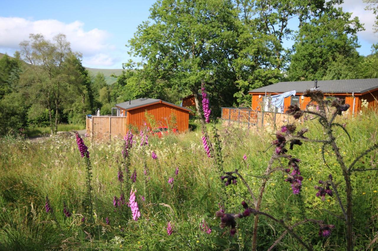 Balquhidder Braes Holiday Park Lodges, Mostly With Hot Tubs And Pet Friendly, Ev Facilities Lochearnhead Kültér fotó