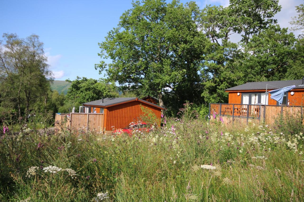 Balquhidder Braes Holiday Park Lodges, Mostly With Hot Tubs And Pet Friendly, Ev Facilities Lochearnhead Kültér fotó