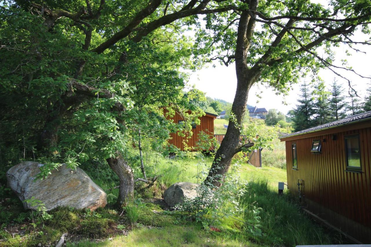 Balquhidder Braes Holiday Park Lodges, Mostly With Hot Tubs And Pet Friendly, Ev Facilities Lochearnhead Kültér fotó