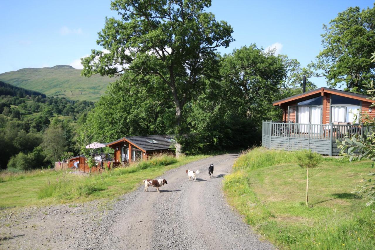 Balquhidder Braes Holiday Park Lodges, Mostly With Hot Tubs And Pet Friendly, Ev Facilities Lochearnhead Kültér fotó