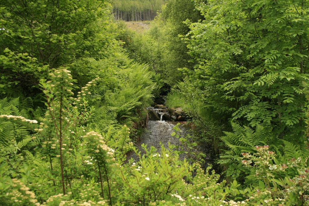 Balquhidder Braes Holiday Park Lodges, Mostly With Hot Tubs And Pet Friendly, Ev Facilities Lochearnhead Kültér fotó