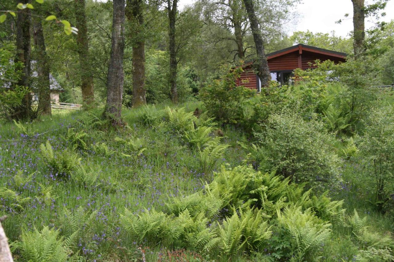 Balquhidder Braes Holiday Park Lodges, Mostly With Hot Tubs And Pet Friendly, Ev Facilities Lochearnhead Kültér fotó